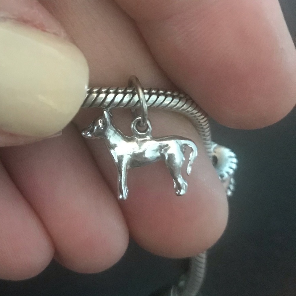Off Brand Sterling Silver Bracelet charm